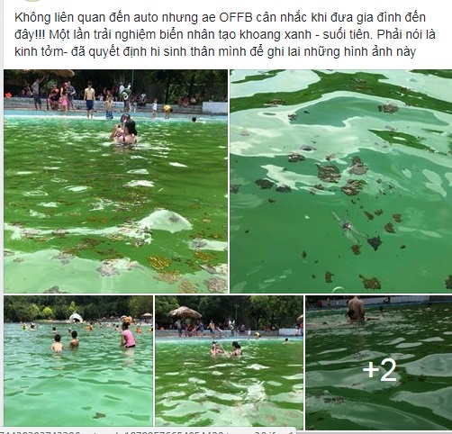 Bể bơi tại Khoang Xanh - Suối Tiên bị tố nhiều chất bẩn nổi kín mặt nước
