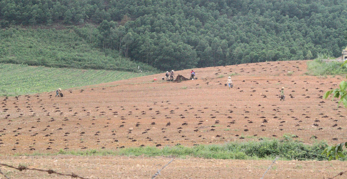 Bắt kẻ chiếm đoạt 110 tỷ tại dự án chăn nuôi bò lớn nhất Hà Tĩnh
