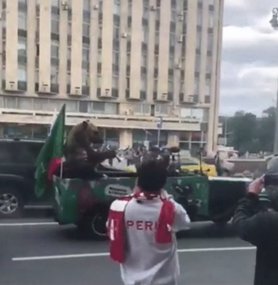 Thắng trận mở màn World Cup, người Nga dắt cả gấu ra đường ăn mừng