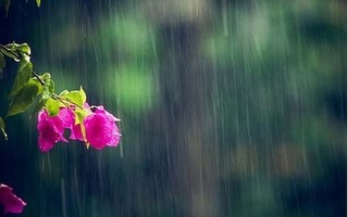 Dự báo thời tiết 16/6: Bắc Bộ mưa to, Hà Nội mưa rào vài nơi