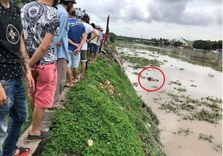 Hải Phòng: Phát hiện thi thể nam sinh viên trên sông sau nhiều ngày mất tích