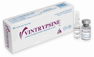 Thu hồi thuốc bột đông khô pha tiêm Vintrypsine