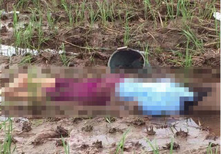Nam Định: Phát hiện người phụ nữ đi bắt ốc tử vong giữa cánh đồng vắng