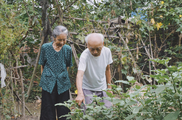 ông bà anh, bộ ảnh ông bà anh