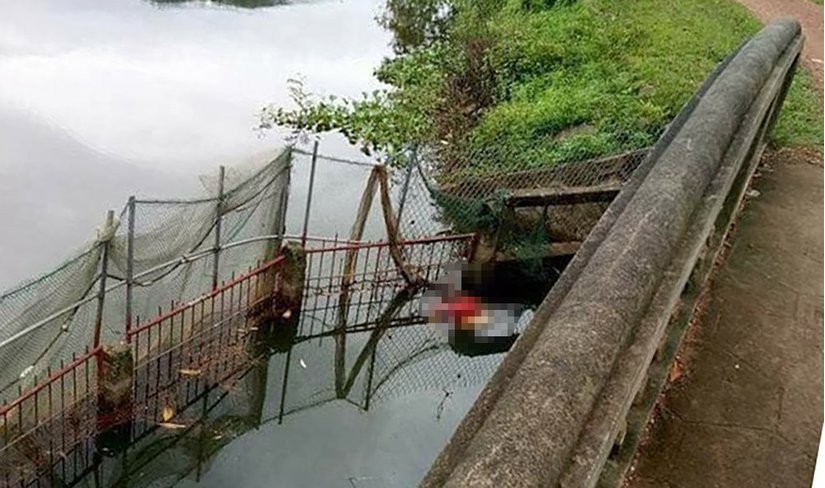 Tá hỏa phát hiện thi thể phụ nữ dưới ao nước ở Sóc Sơn