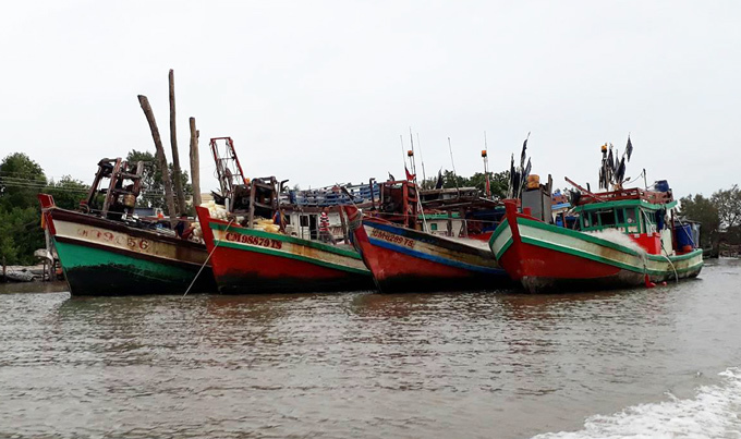 Nam Định cấm ngư dân ra khơi, Thái Bình tổng lực chống bão