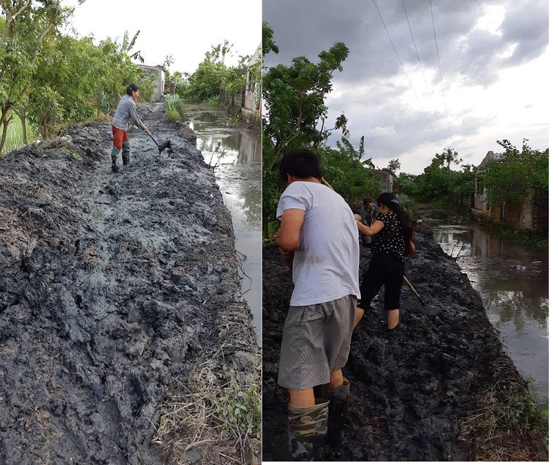 Thái Bình: Hợp tác xã nông nghiệp múc bùn đổ hết lối đi vào nhà dân 