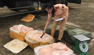 Thanh Hóa: Bắt giữ 2,5 tấn thịt lợn thối chuẩn bị lên bàn nhậu