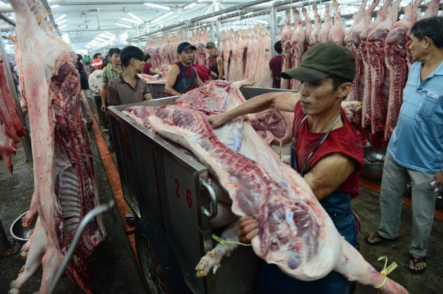 Giá heo hơi hôm nay 31/7 tăng kéo theo giá thịt lợn tăng vọt
