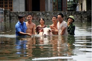 Toàn cảnh ngập lụt ở đê sông Bùi, Hà Nội