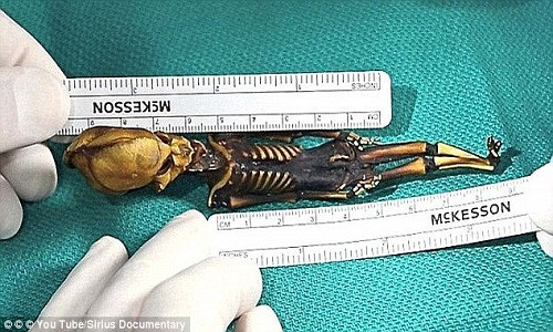 xác ướp ''người ngoài hành tinh'' được phát hiện ở Chile