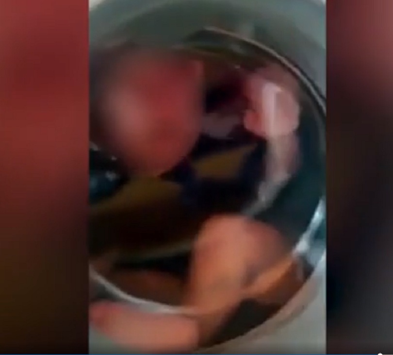 Bé 2 tuổi nghi bị bạo hành, nhét vào máy giặt để nín khóc 