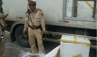 Thanh Hóa: Bắt xe vận chuyển 300 kg thịt đang phân hủy, bốc mùi hôi thối
