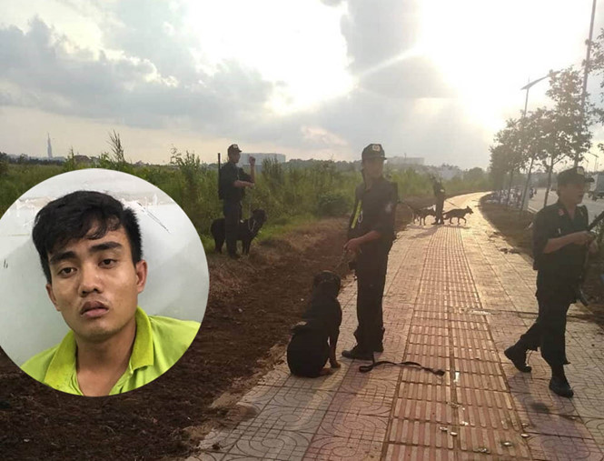  Sài Gòn: Chó nghiệp vụ săn tên cướp khống chế tài xế GrabBike trốn trong bãi sậy