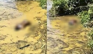 Thanh Hóa: Tá hỏa phát hiện 2 thi thể đang phân hủy trôi trên sông