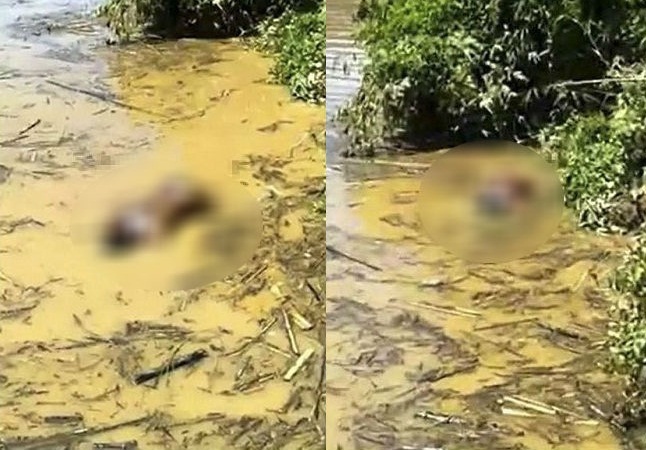 Thanh Hóa: Tá hỏa phát hiện 2 thi thể đang phân hủy trôi dạt trên sông