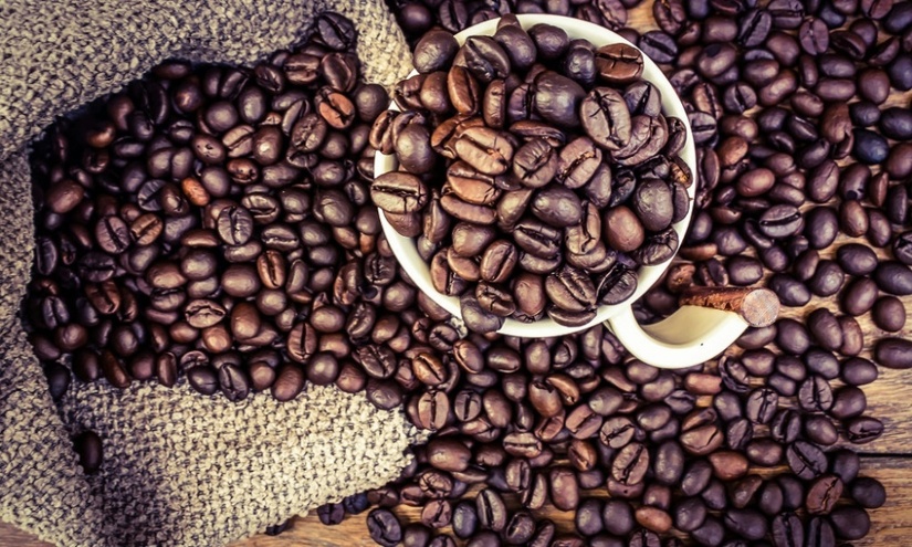 Giá cà phê hôm nay 6/9: Lo ngại nguồn cung, cà phê rớt giá thảm hại
