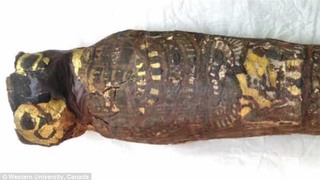 Bí ẩn về xác ướp Ai Cập 2.100 năm chính thức được giải mã