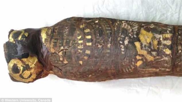 xác ướp Ai Cập 2.100 năm chính thức được giải mã