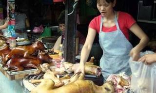 Chuyện lạ ở Hà Nội: Cả làng ăn thịt chó ngày Tết để lấy may