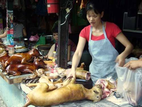 Chuyện lạ ở Hà Nội: Cả làng ngày Tết ăn thịt chó để lấy may