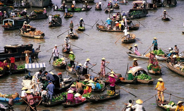Ghé Đồng bằng sông Cửu Long hòa mình vào thiên nhiên mùa nước nổi