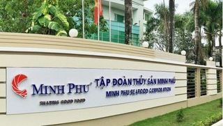 Minh Phú vượt 12 bậc, đứng thứ 41/100 công ty thủy sản lớn nhất thế giới