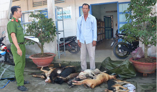 Bắt quả tang người đàn ông chở 11 xác chó lúc rạng sáng