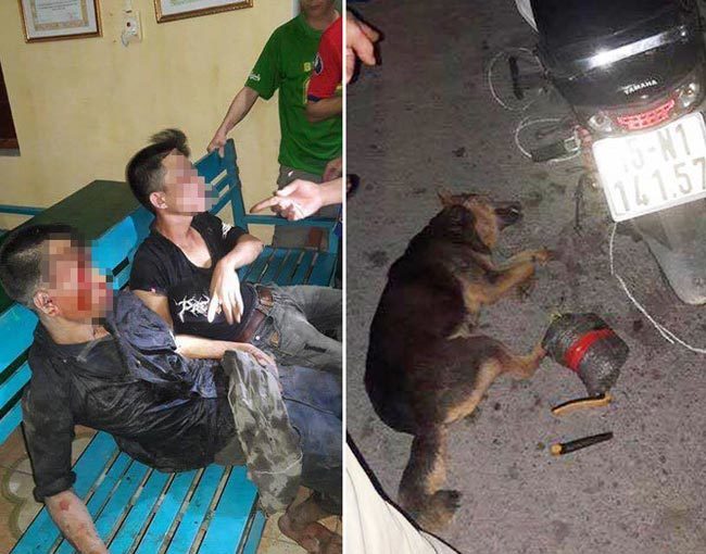 2 thanh niên bị đánh thương vong ở Hải Phòng khi trộm chó