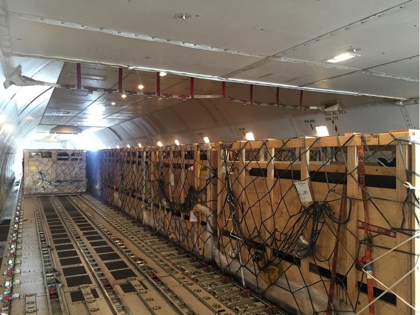 200 cô bò hữu cơ 'cưỡi' máy bay từ Úc về Việt Nam