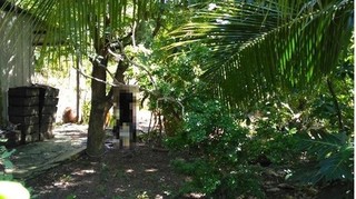 Đắk Lắk: Phát hiện Chủ tịch xã tử vong trong tư thế treo cổ trên cây