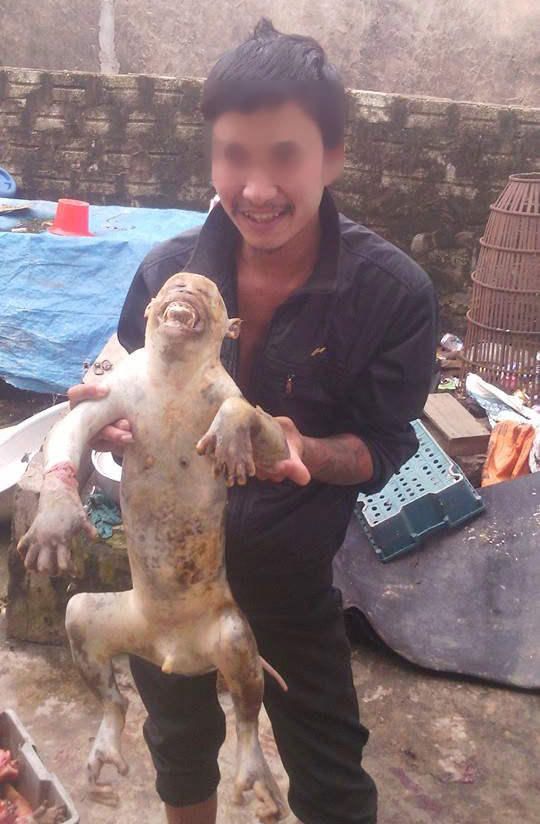Tìm ra thanh niên giết khỉ dã man rồi đăng ảnh lên Facebook 