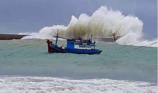 Sóng biển đánh rất cao ở Bình Thuận, đêm nay bão số 9 đổ bộ vào nước ta