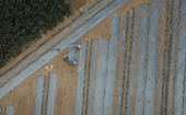 Clip: Ba nông dân tá hỏa bỏ chạy khi thấy flycam bay lơ lửng trên đầu