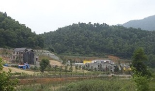 Thanh tra toàn diện việc quản lý, sử dụng đất rừng ở huyện Sóc Sơn