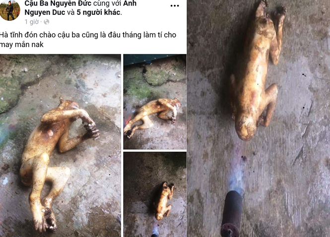 Nam thanh niên khoe ảnh giết khỉ trên Facebook  ở Hà Tĩnh