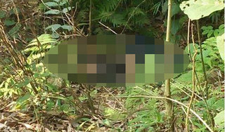 Lào Cai: Tá hỏa phát hiện thanh niên tử vong trong bụi cây