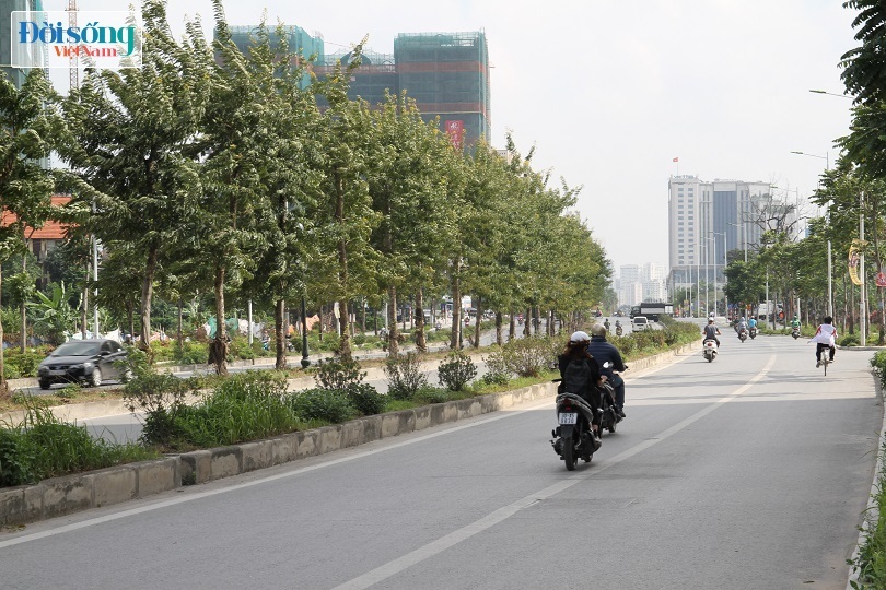 Cận cảnh con đường 8 làn xe mang tên nhà tư sản Trịnh Văn Bô6
