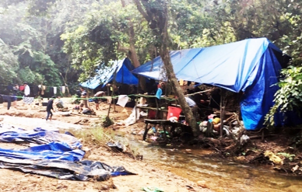 Quảng Nam: Khai thác vàng, người phụ nữ bị nước cuốn trôi và mất tích