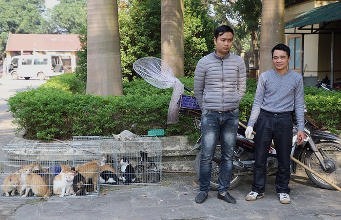 Vĩnh Phúc: Bắt quả tang đối tượng bắt trộm hàng chục con mèo