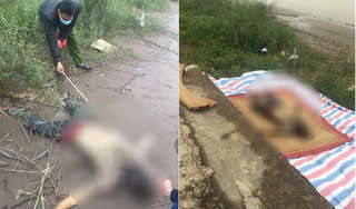 Phát hiện thi thể người đàn ông đang phân hủy mạnh nổi trên sông Hồng