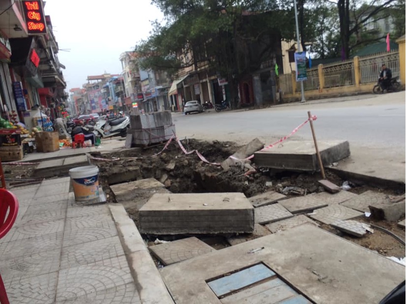 Hàng cây được trồng dưới lòng đường ở Quảng Ninh: Nhiều trường hợp xe gặp nạn3