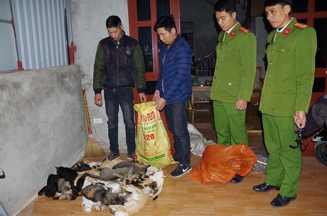Công an bắt giữ hai anh em ruột ăn trộm gần 1 tạ mèo. Ảnh CA Hà Nam