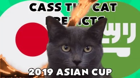 Mèo tiên tri Cass dự đoán đối thủ của ĐT Việt Nam tại vòng Tứ kết