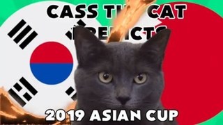 Mèo tiên tri Cass 'tái xuất' dự đoán kết quả trận Hàn Quốc - Bahrain