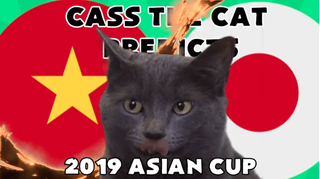 CĐV Việt Nam 'há hốc mồm' nhìn mèo Cass dự đoán Tứ kết với Nhật Bản