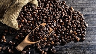 Giá cà phê hôm nay 26/1: Giá quay đầu giảm 200 đồng/kg