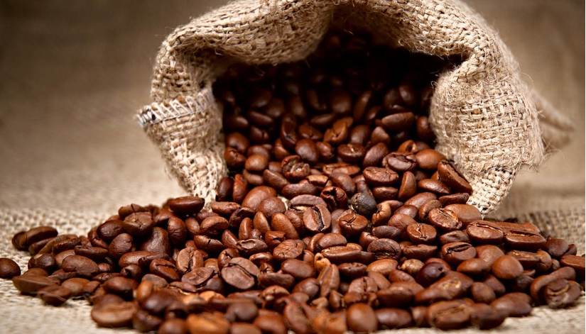 Giá cà phê hôm nay 31/1: Quay đầu giảm 200 đồng/kg