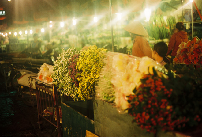 Những chợ hoa nổi tiếng Hà thành nên đến vào dịp Tết Nguyên đán 2019