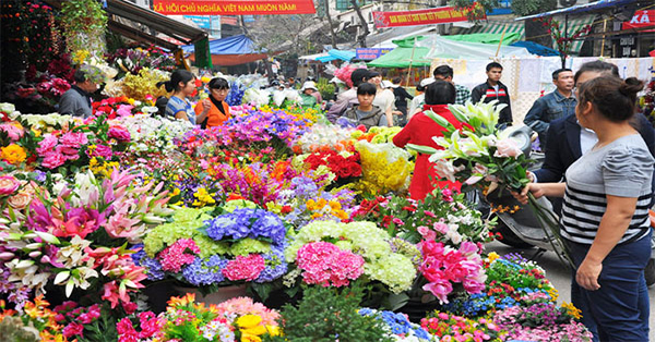 Những chợ hoa nổi tiếng Hà thành nên đến vào dịp Tết Nguyên đán 20196
